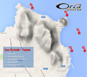 ORCA Palermo - immersioni Porticello